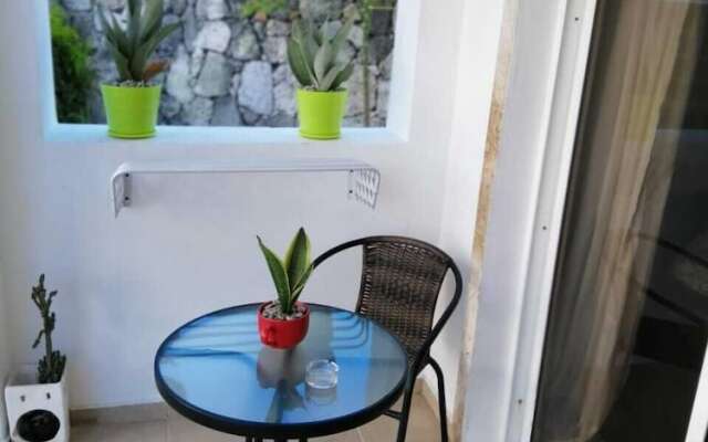 Blue Garden Apartment Los Corales