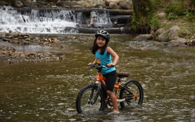 Cabañas Armonía y Jardín de Orquideas