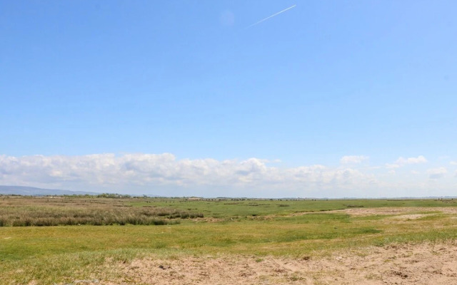 Shorefields Two