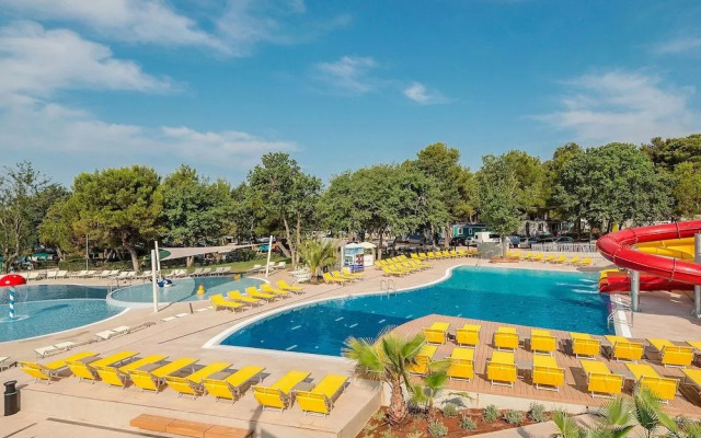 Camping Lanterna Tar