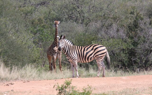 Tshukudu Game Lodge