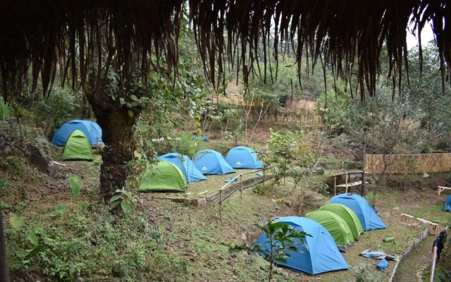 Camp David Kigwema