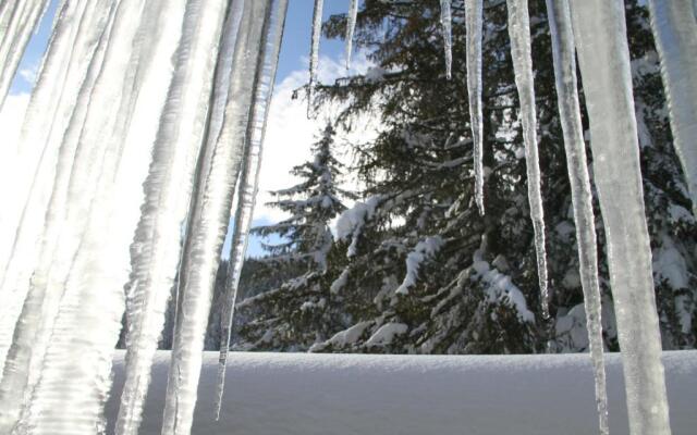 Alpen Appartements Zauchensee