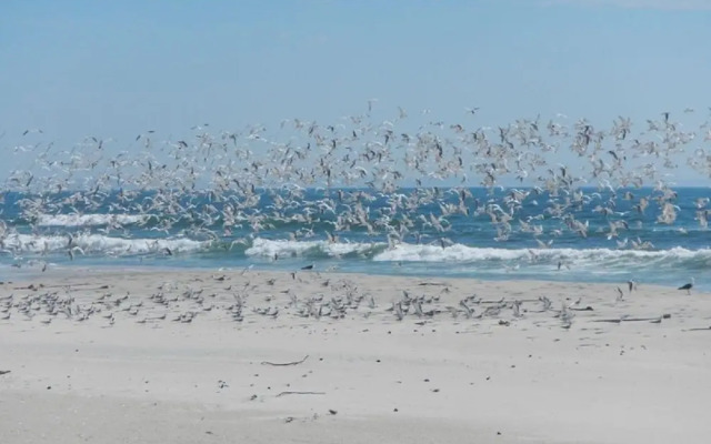 West Coast Luxury Tents- Glamping