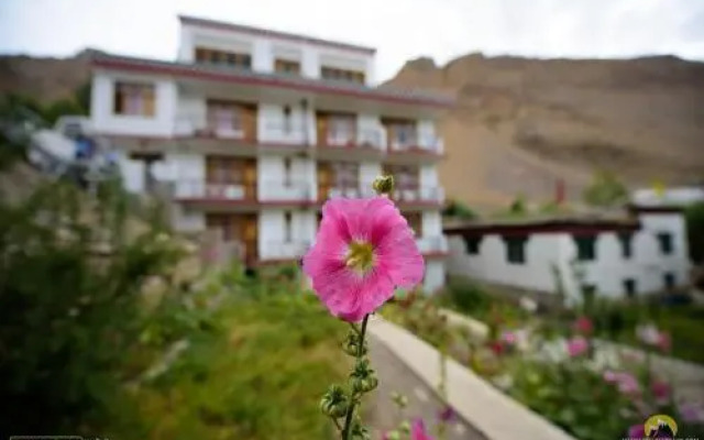 The Nomad's Cottage - Chicham/Kibber Spiti Valley