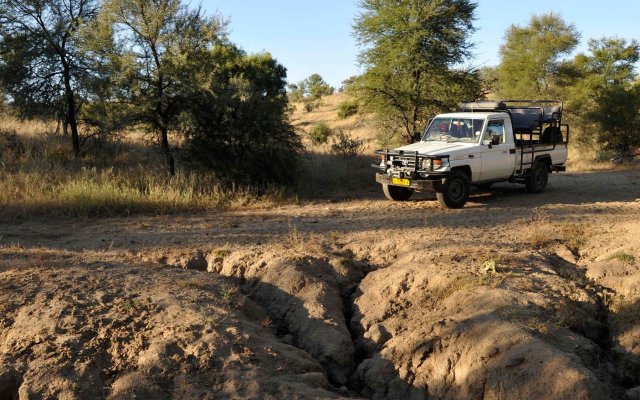 Leopard Lodge