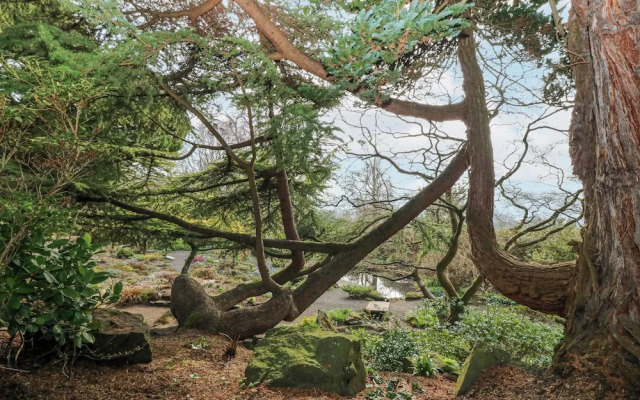 Branklyn Garden Cottage