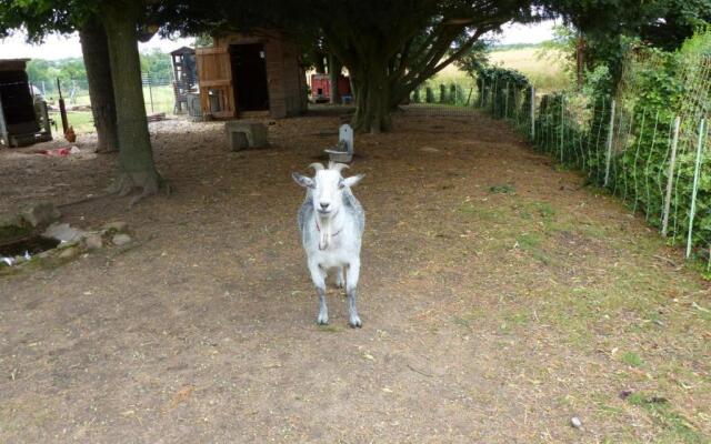 Gîte Saligny-sur-Roudon, 3 pièces, 5 personnes - FR-1-489-121