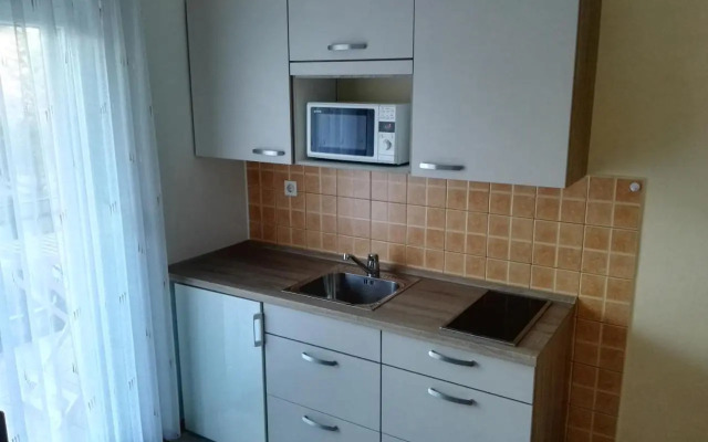 Apartments Silič