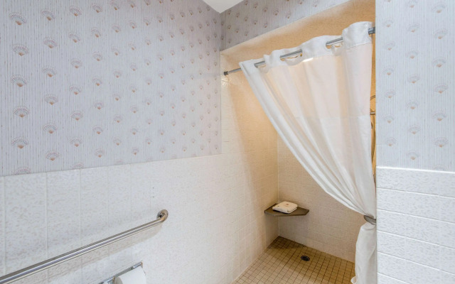 Comfort Inn Mount Shasta Area