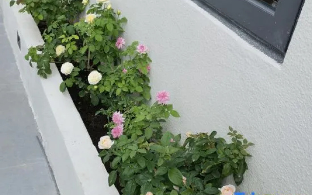 Xiangjingli Homestay