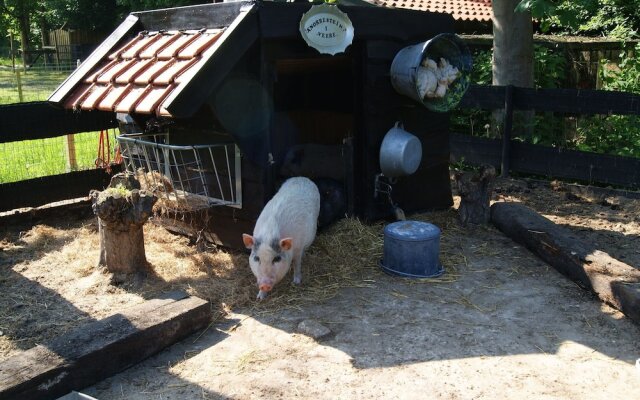 Charming Holiday Home in Veere Near Forest