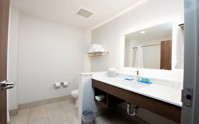 Holiday Inn Express & Suites Houston SW - Galleria Area by IHG