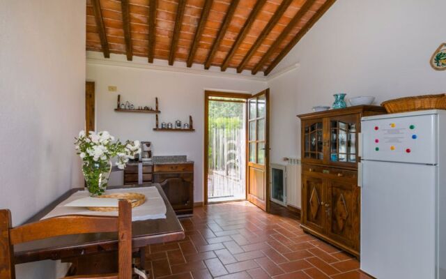 House Salustri Cinigiano 16386