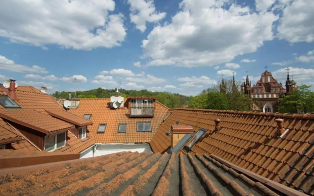Šv. Mykolo Rooftop Apartment & Sauna