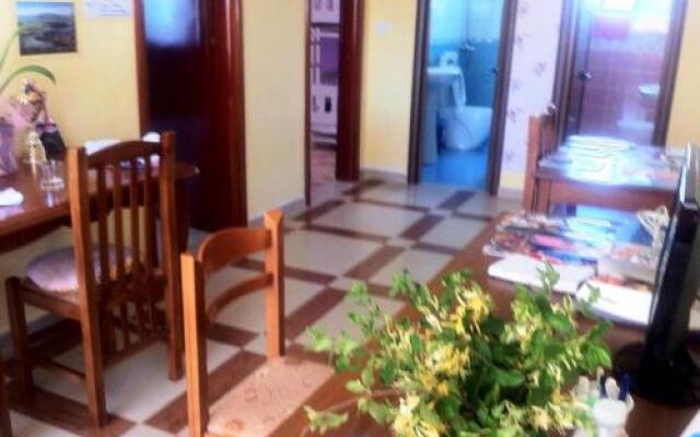 Dolphin Hostel