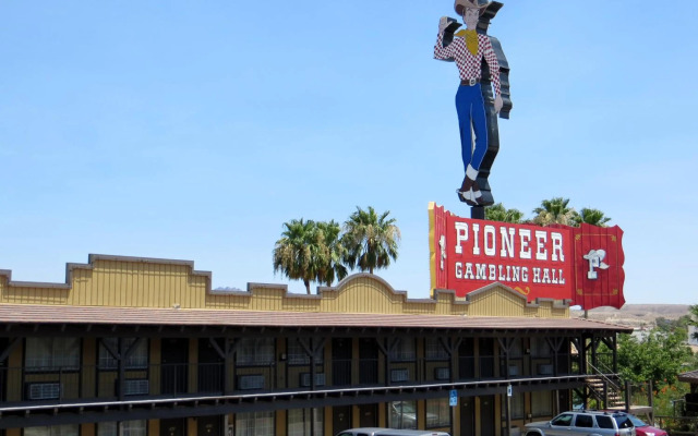 The New Pioneer