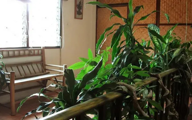 Yamawa Guesthouse
