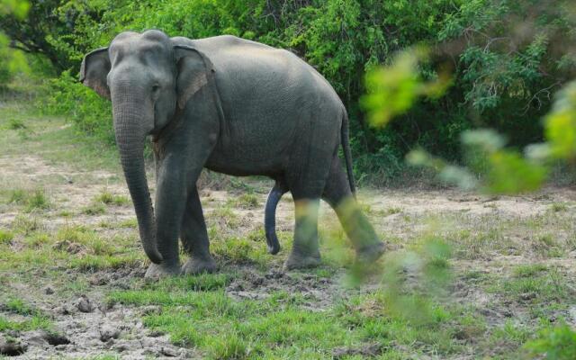 Shangri-Lanka Village