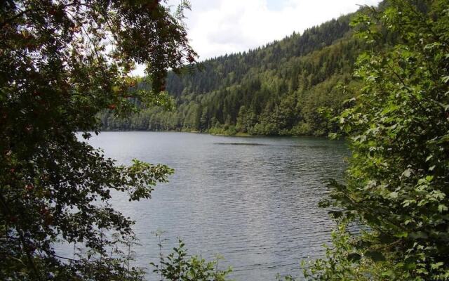 Ferienwohnung Reifberg