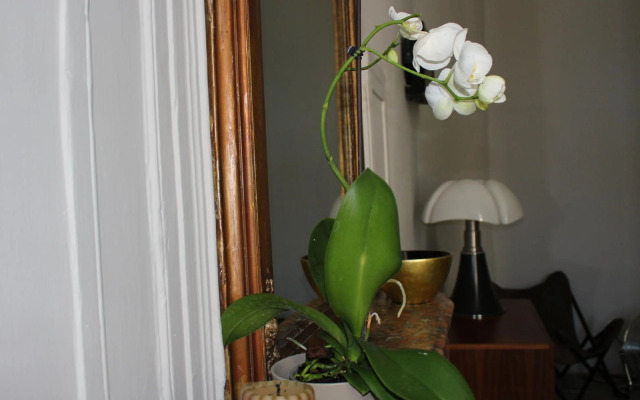 Palais des Rois dAragon