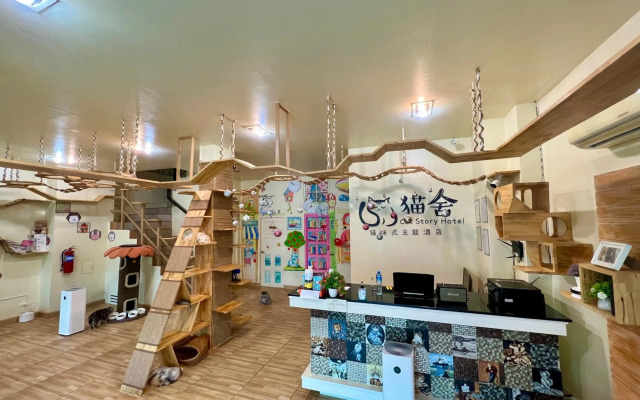 Cat Story Hotel