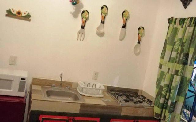 La Frida Kahlo Verde 1er piso
