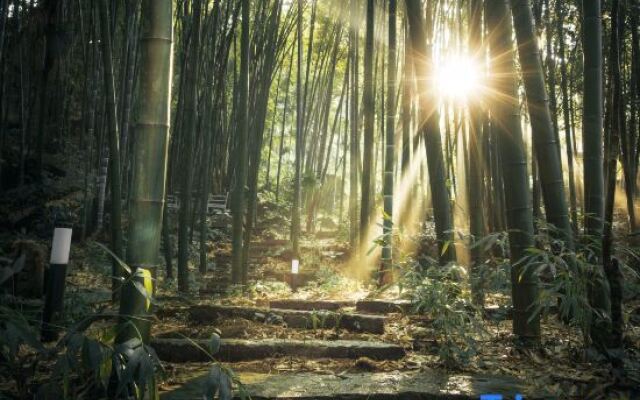 Qingcheng Mountain·Mountain Zhumufeng Designer Resort Hotel