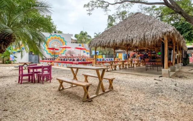 Tamarindo Surf Camps by Selina Surf Club - Hostel