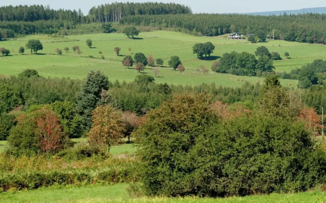 Farmhouse Situated at the Edge of the Woods