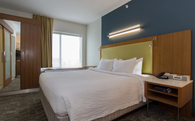 SpringHill Suites by Marriott Columbia Downtown/The Vista
