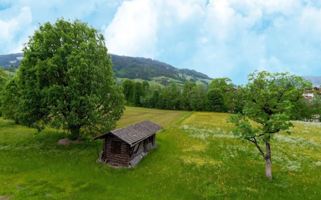 Apartment in Tyrol Near Ski Slopes