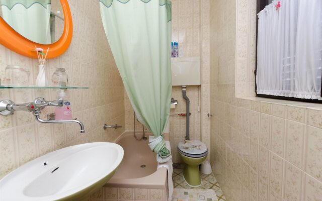 Apartments Branka