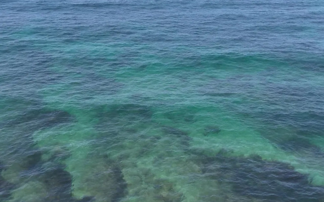 Peniche Nature and Beach Flat