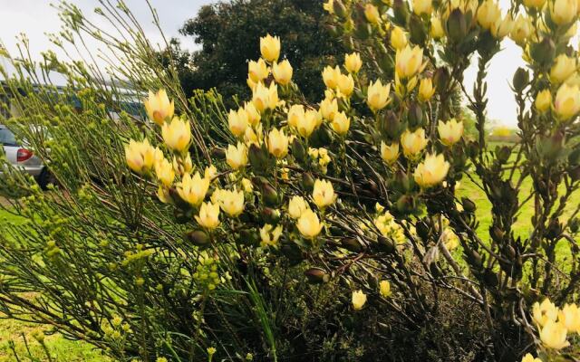 Yarragon 4 Bedroom House in Gippsland