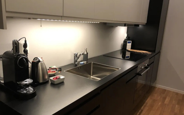 Royal Apartment Sandefjord City Centre