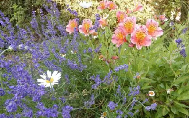 The Farm Snead Bed & Breakfast