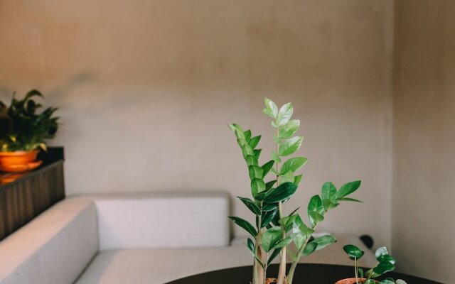 TerraSense Mountain Charm Retreat & Farm