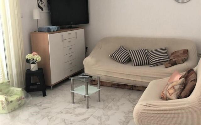 Vis - B1 - Selce