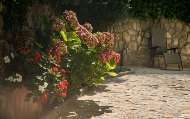 Zora Njivice in Njivice