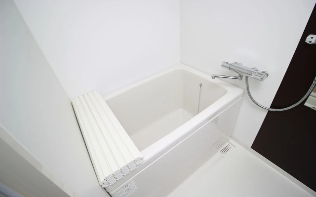 Saint Paulia Osaka Castle