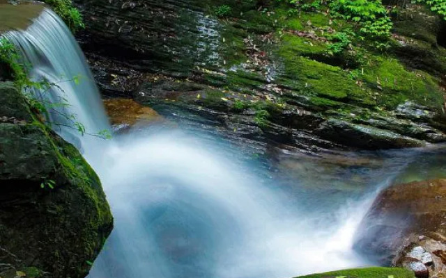 Fanjingshan weijianjingqi homestay