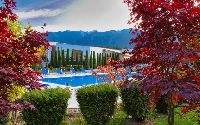 Local Stay Hotel, BW Signature Collection