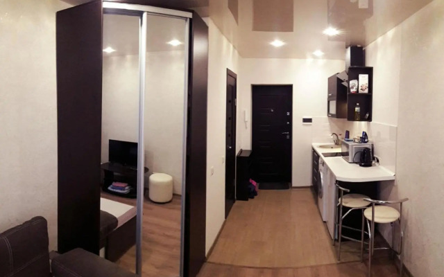 Смарт-студия на Гагарина возле Бот сада