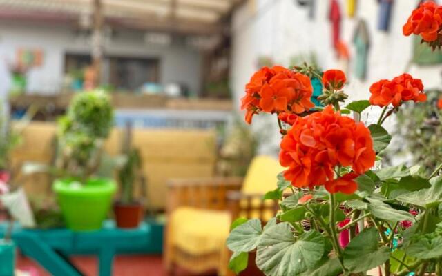Hostal Dolegant Pichilemu