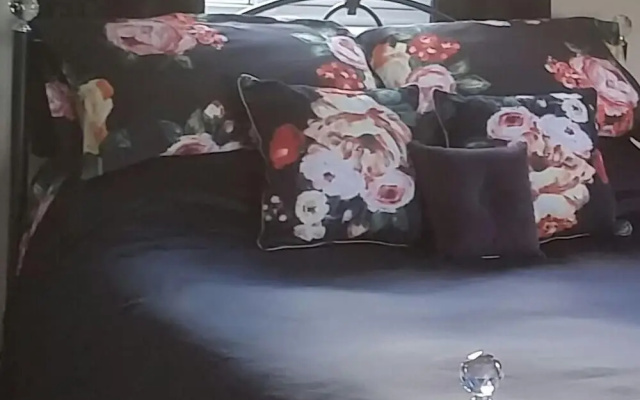 Pantysgyfarnog