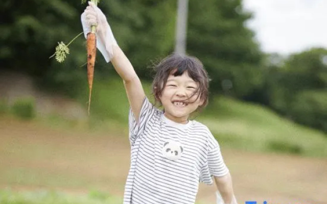 The Farm Slow Mountain Narita