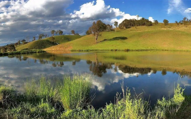 Waterfall Way Farmstay