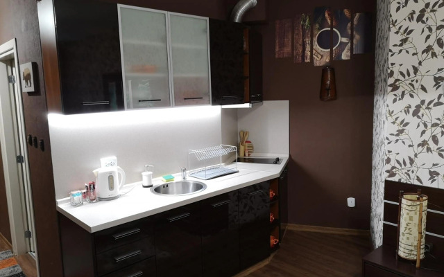 Studio Iceberg Borovets Студио с кухня