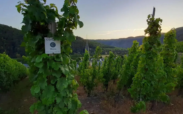Haus Mosel